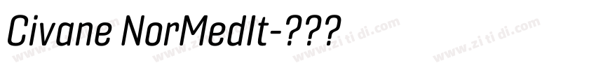 Civane NorMedIt字体转换